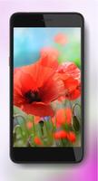 Poppy Flower 截图 1