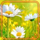 Summer Camomiles Fields иконка