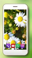 Summer Camomiles Fields скриншот 3
