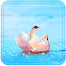 Swans Love live wallpaper APK