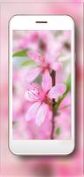 Spring Fantasy ภาพหน้าจอ 2