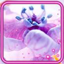 APK Spring Lilac Blooom