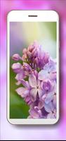 Spring Lilac Blooom โปสเตอร์