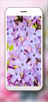 Spring Lilac Blooom ภาพหน้าจอ 1