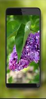 Spring Lilac Blooom ภาพหน้าจอ 2
