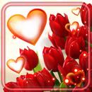 APK Tulips Love Spring