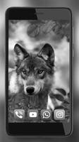 Wolf Black White poster