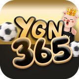 YGN 365 aplikacja