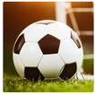Dream Star League Soccer Cup أيقونة