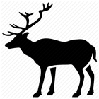 DeerChat - Anonymous Chat icon