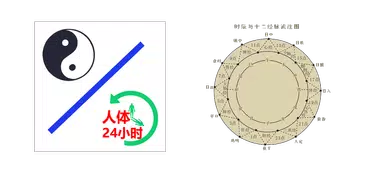 中医经络穴位流注