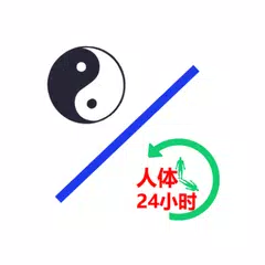 中医经络穴位流注 XAPK download