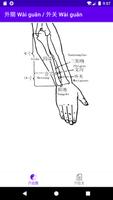 中医经络穴位流注 تصوير الشاشة 3