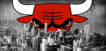 Chicago Bulls