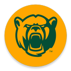 Baylor In-Game-icoon