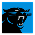 Carolina Panthers Mobile