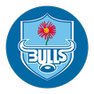 Vodacom Bulls