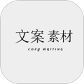 文案素材大师