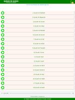 QURAN - In Audio Translation ( اسکرین شاٹ 3
