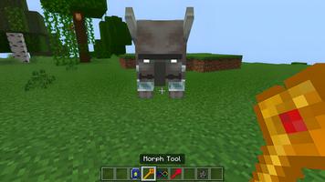 Verwandlungs-Mod für Minecraft Screenshot 3