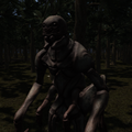 Escape From the Pitchy Forest
