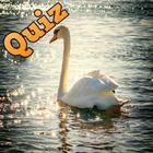 ikon Animals Trivia Quiz Up Logic Game