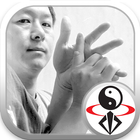 Chin Na in Depth Dr. Yang YMAA 图标