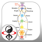 Acupressure Massage Qigong icône