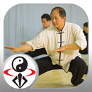 Five Animals Qigong (YMAA) APK