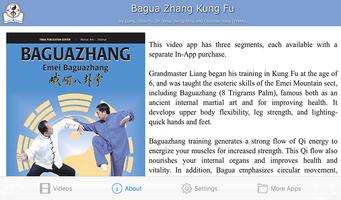 Four Seasons Qigong Video capture d'écran 1