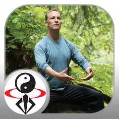 Descargar APK de Introduction to Qi Gong