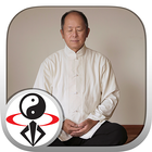 Icona Qigong Meditation Master Yang