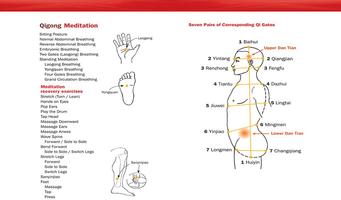 Qigong Meditation Master Yang 포스터