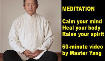 Qigong Meditation Master Yang স্ক্রিনশট 1