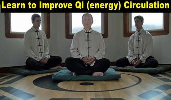 Qigong Meditation Master Yang Ekran Görüntüsü 2