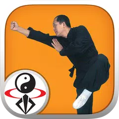 Shaolin Kung Fu アプリダウンロード