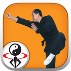 Shaolin Kung Fu Zeichen
