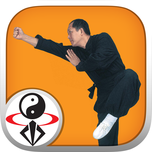 Shaolin Kung Fu