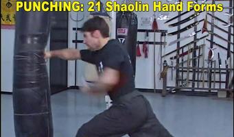Shaolin Kung Fu captura de pantalla 3