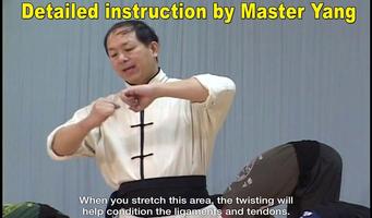 Shaolin Kung Fu Ekran Görüntüsü 1
