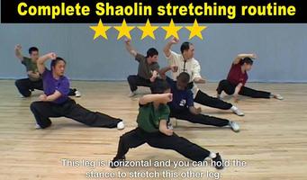 برنامه‌نما Shaolin Kung Fu عکس از صفحه