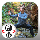 Qi Gong for Anxiety APK