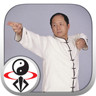 Icona Eight Brocades Qigong Standing