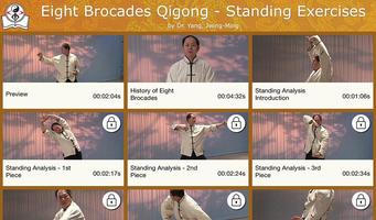 Eight Brocades Qigong Standing Affiche