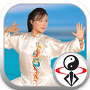 Water Style Kung Fu Tai Chi APK