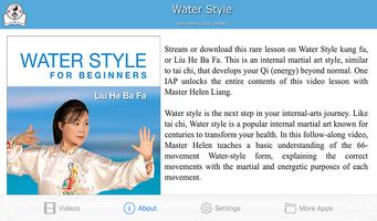 Water Style Kung Fu Tai Chi Screenshot 1