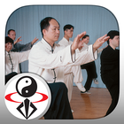 Tai Chi 108 Yang Form آئیکن