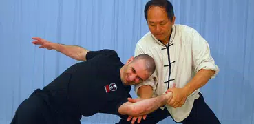 Tai Chi Martial Applications