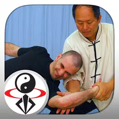 Descargar APK de Tai Chi Martial Applications