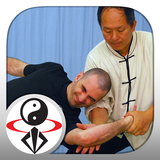 Tai Chi Martial Applications icône